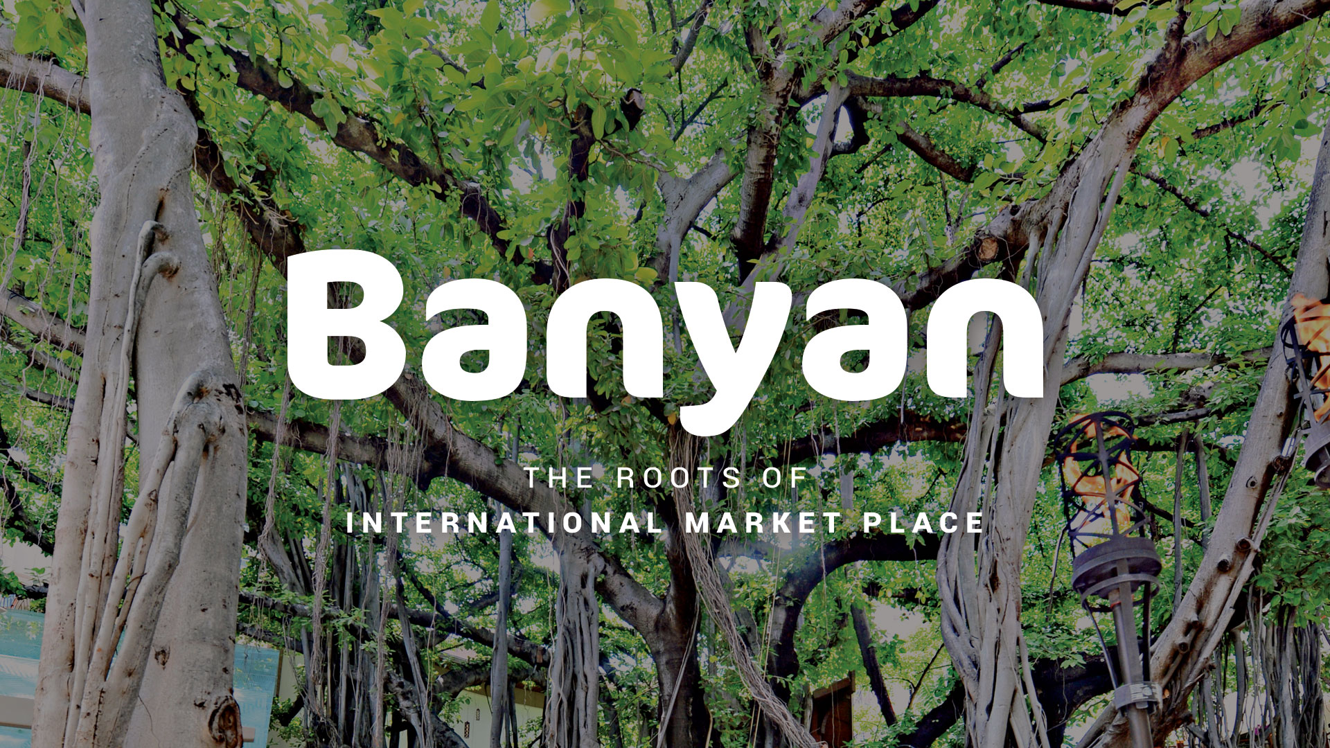 Banyan: The Roots of International Market Place
